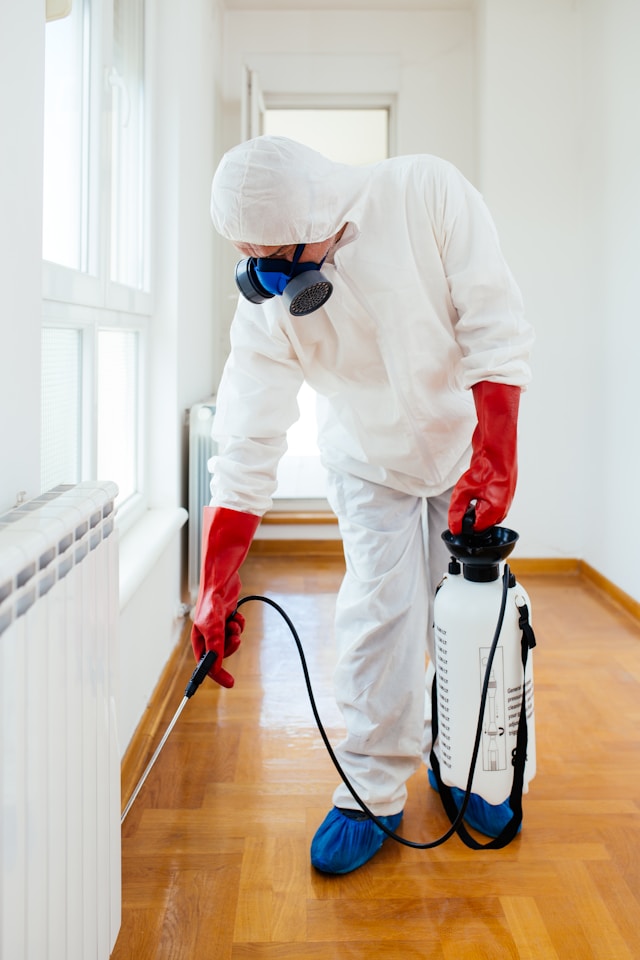 exterminator
